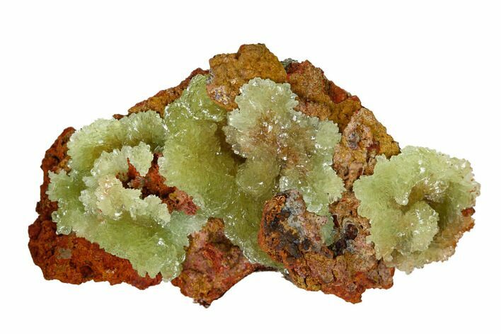 Yellow-Green Austinite Crystal Formation - Durango, Mexico #154719